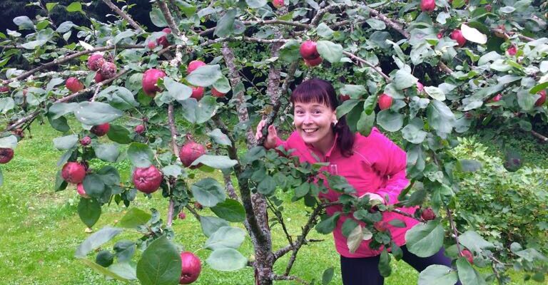 Hyvä – paha stressi – kuormittavuus – palautuminen