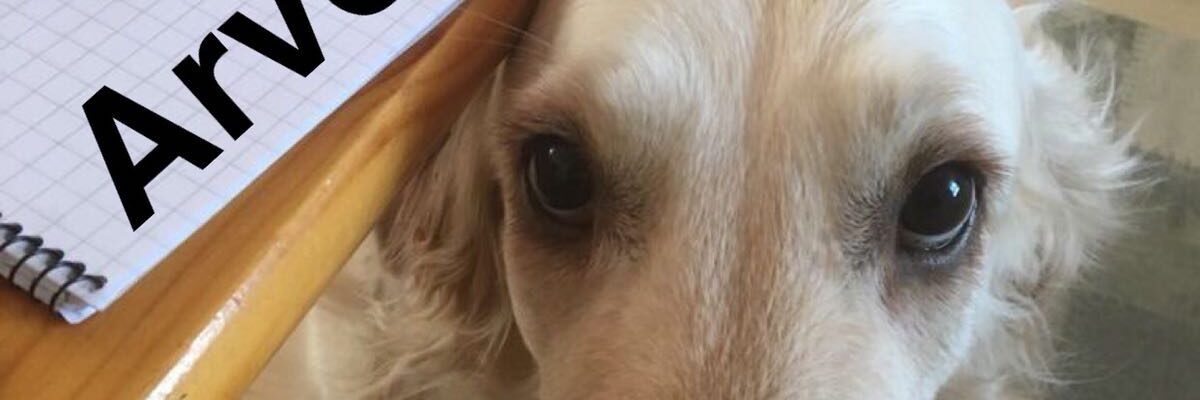 Milloin olet miettinyt arvojasi? – pysähdy hetkeksi ja tee pieni aivojumppa