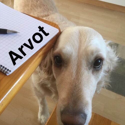 0f146837 6c2e 4af0 9811 436cec61e257